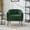 Green, variant on Eyisean 50.2" Chenille Modern Loveseat Sofa, 2-Seat Comfy Upholstered Couch Settee with Flower Shaped Back & Metal Legs, Removable Seat Cushion, Easy Assembly for Living Room, Bedroom