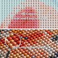 thumbnail image 4 of Art Craft Kit Tiwabb, paquete de 4 pinturas de diamantes de playa de 12 x 12 pulgadas, 4 of 7