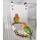 thumbnail image 1 of Espejo para pájaros de pulgadas con cuerda, percha, espejo para cacatúa, jaula, juguetes para pájaros, columpio, jaula para loros, juguetes para periquito, cacatúa, 1 of 8