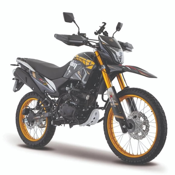Motocicleta Italika DM300 DORADO con GPS