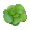 thumbnail image 3 of thinsony 10x artificial Succulents Small Vivid Useful Simulated Plants Multi-functional Lifelike Photo Props for Household Yards Lawn Flowerpot Type 8, 3 of 5