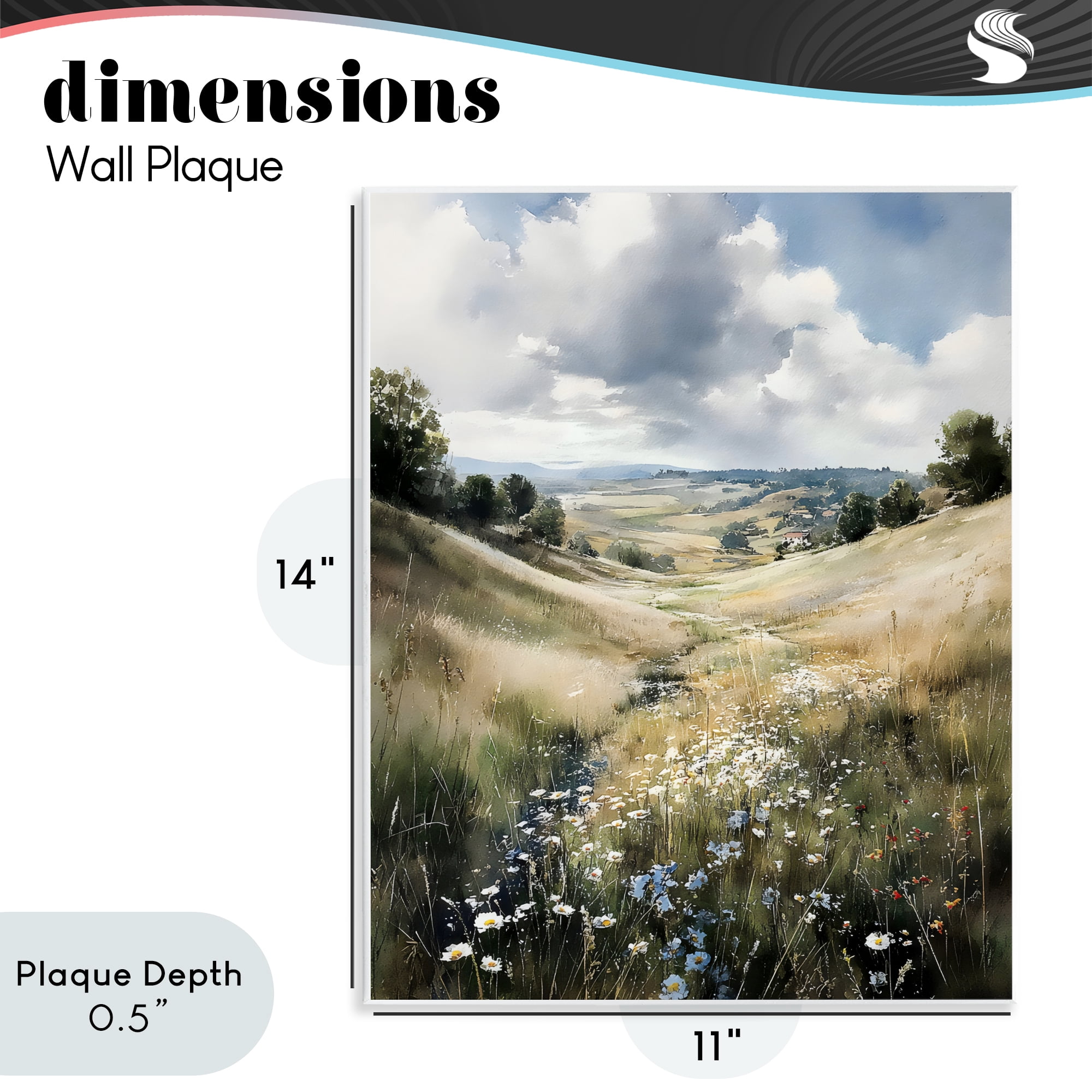 Stupell Industries Floral Valley of Wild Daisies Wall Plaque Art, design by Franklyn Gregory
