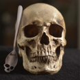 thumbnail image 5 of Skull Spoons, Skull Sugar Spoons, Skull Stainless Steel Teaspoons, Coffee And Tea Stirring Spoon, Set Of 6 Silver 18/10 Stainless Steel Cool And Styli, 5 of 5