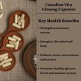 thumbnail image 2 of Canadian Vita Ginseng Capsules - Immune System and Energy Support - 500mg/capsule - 60 caps, 2 of 5