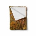 thumbnail image 2 of Fall Soft Flannel Fleece Blanket, Idyllic Rural Landscape Tranquility in the Park Pathway Woodland Peaceful Environment, Cozy Plush for Indoor and Outdoor Use, 60" x 80", Multicolor, by Ambesonne, 2 of 6
