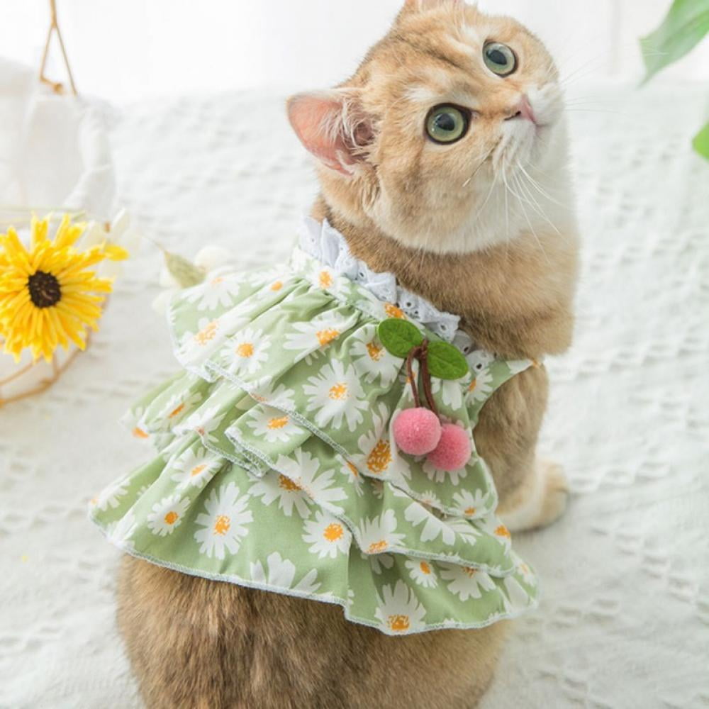 cute cat dress