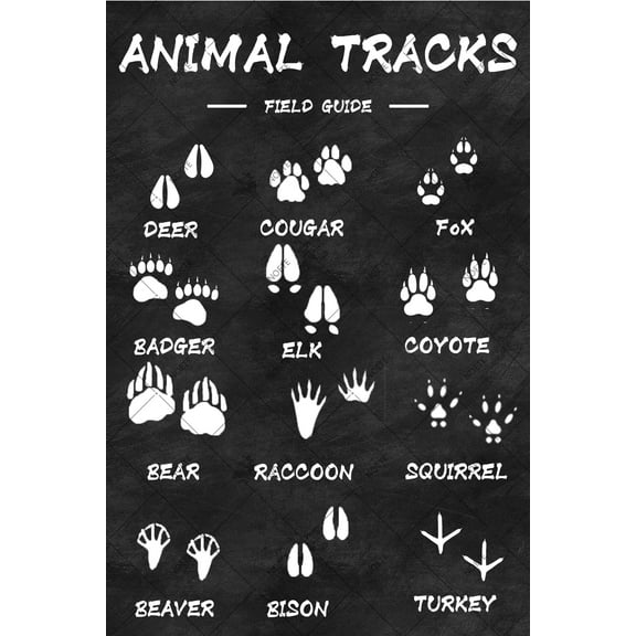 Noete Vintage Black and White Kitchen Decor Tin Sign Funny 8x12 Inch Wall Art for Home, Cafe & Bar Retro Metal Sign with Humorous Rules