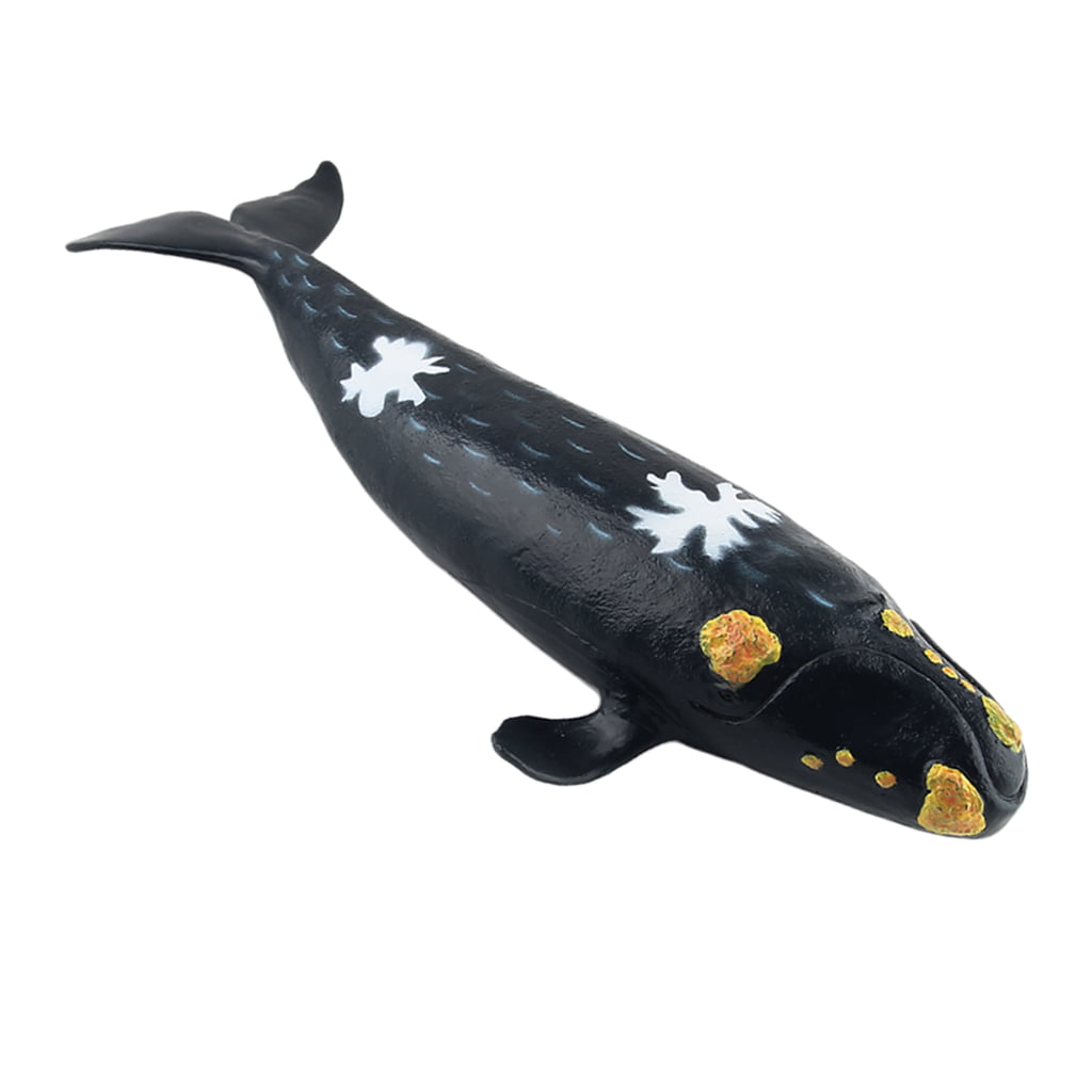 SUN & SKY 66 INCH WHALE RIDE-ON INFLATABLE ANIMAL 