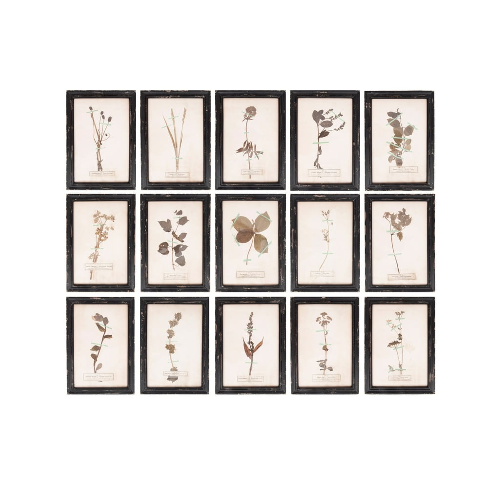 Creative CoOp Wood Framed Wall Plaques with Dried Flower Images (Set