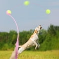 thumbnail image 4 of Globular Toy Thrower for Dog with Slim Ergonomic Handle for Interactive Games, 4 of 4