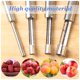 thumbnail image 2 of Advancent Acero Inoxidable Hogar Vaciador Giro Utensilio Cocina Semilla Núcleo Cocina y Comedor azufaifo de espino Advancent JJ24151-02, 2 of 6