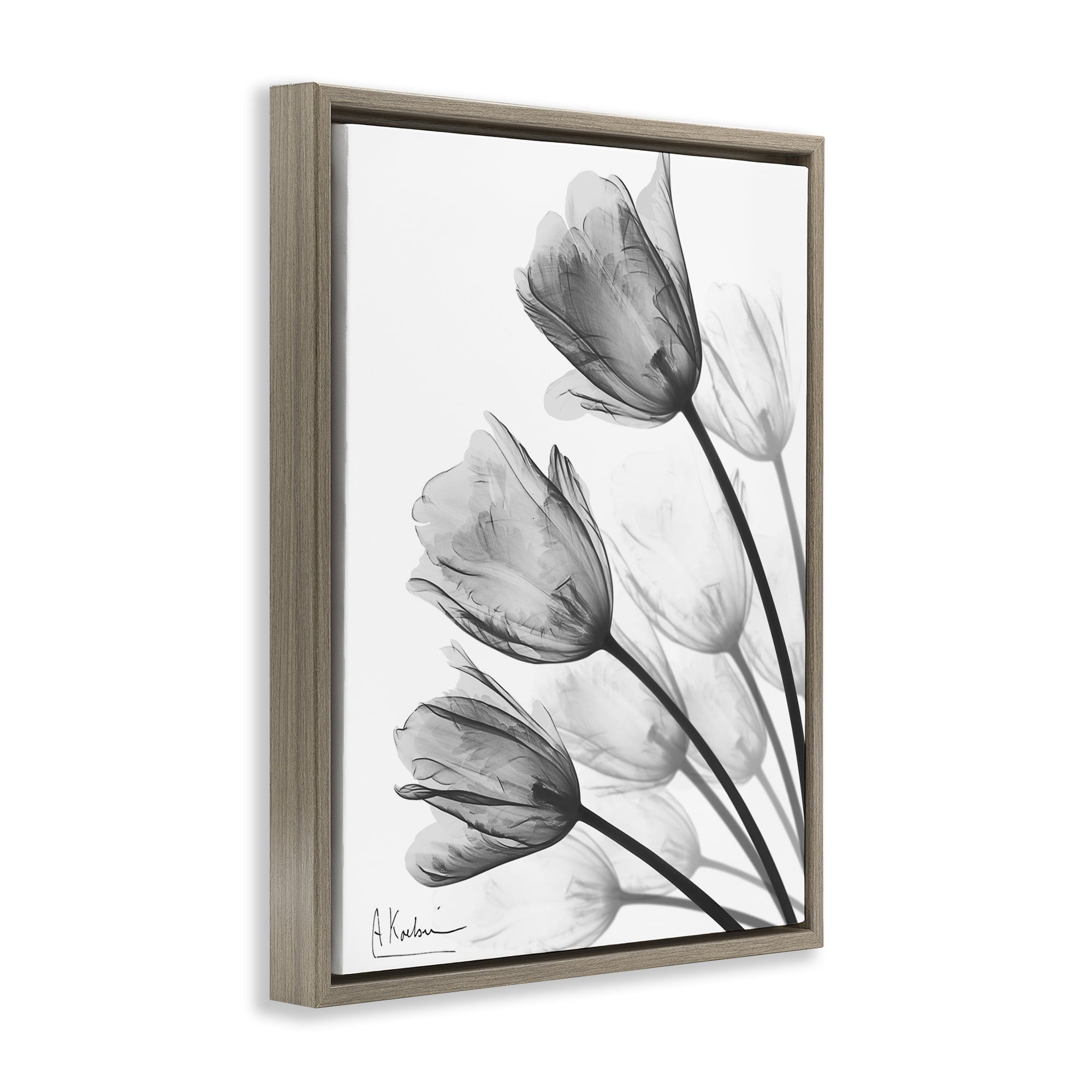Stupell Industries Minimalist Tulip Fan Brown Framed Floater Canvas Wall Art, design by Albert Koetsier