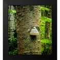 thumbnail image 2 of Stalowy, John 20x22 Black Modern Framed Museum Art Print Titled - Fungus 2, 2 of 5