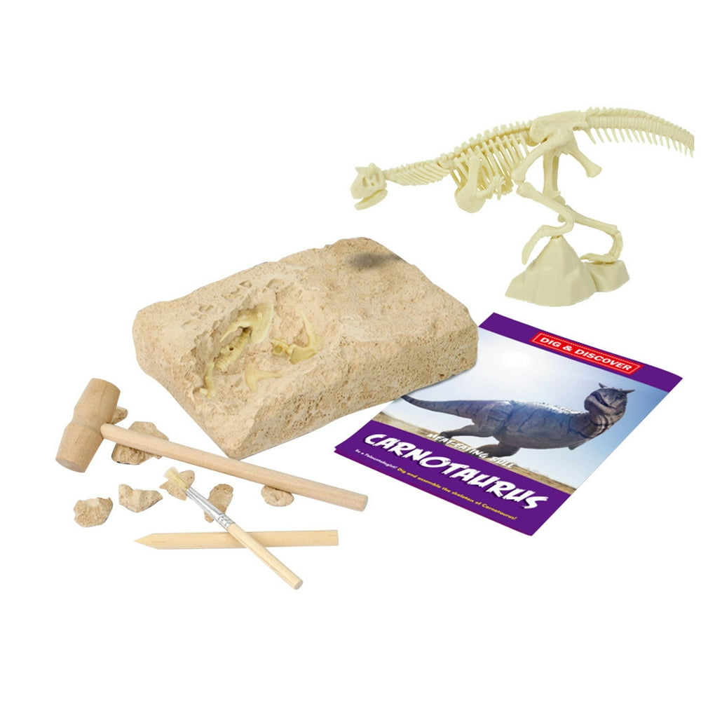 dinosaur fossil sandbox
