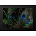 thumbnail image 2 of Berzel, Erin 24x17 Black Modern Framed Museum Art Print Titled - Peacock Feathers I, 2 of 5