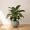 Gery, variant on Ecobo 18.9" Wide, Eco-Friendly Round Pot Planter, HeliconiaIndoor/Outdoor use, Durable, Versatile & Lightweight, Designed by Brazilian Artisans, Contemporary All-Weather Design – Gray Granite