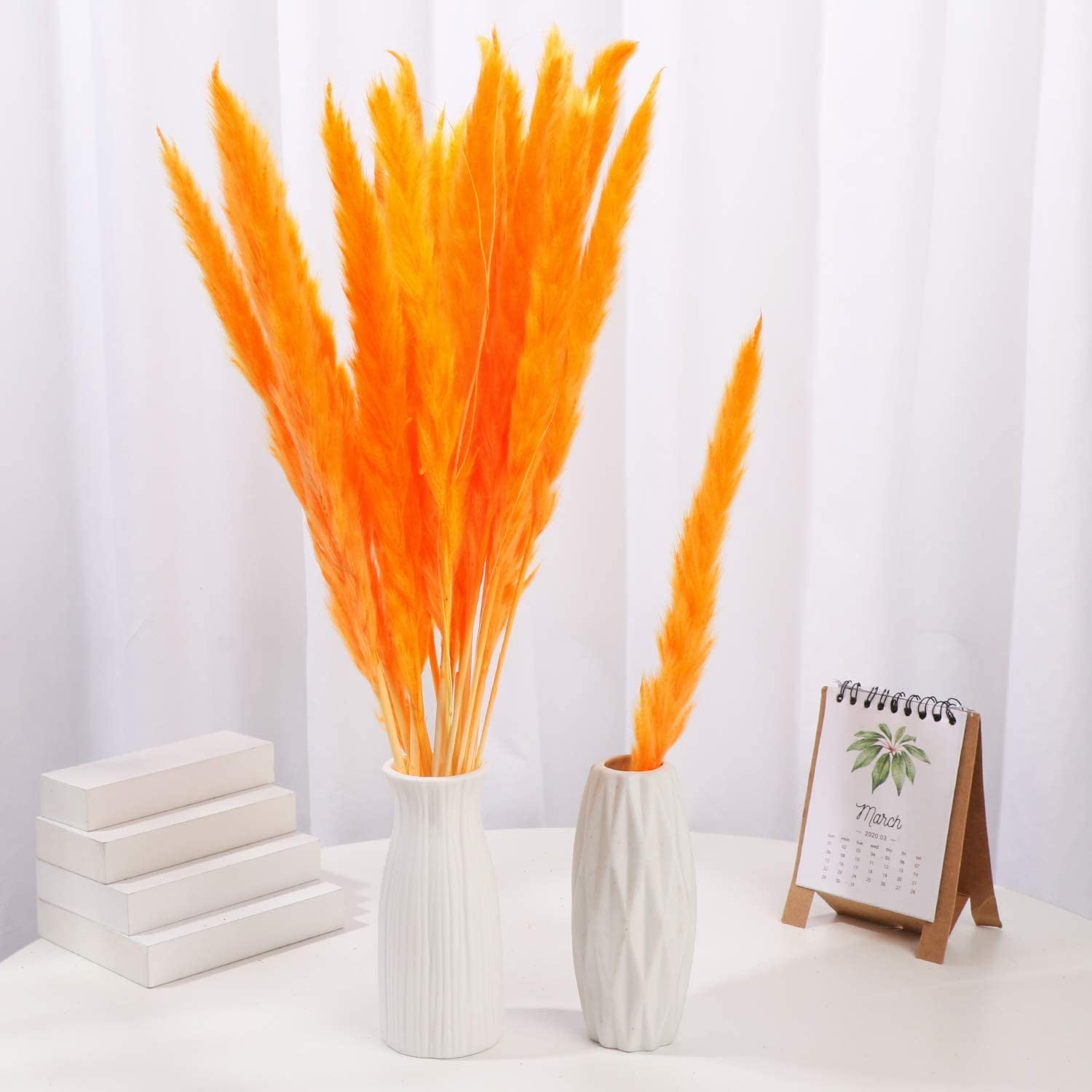 Xelparuc 30pcs Dried Flowers Natural Dried Pampas Grass Reed Plant with Box Real Flowers Romantic Wedding Flower Bulrush Bouquets Flavorful Durable for DIY Home Decor Matching Photography