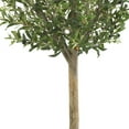thumbnail image 4 of Nearly Natural 54" Olive Double Ball Topiary Artificial Tree, 4 of 7