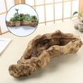 thumbnail image 3 of Resin Plant Pot Cactus Flower Pot Container Planter, 3 of 8