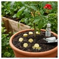 thumbnail image 4 of Fertilizante Inorgánico Happy Flower 25 Pastillas, 4 of 5