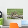 thumbnail image 1 of Wolf Cubs Wall Mural Decal Sticker, Wallmonkeys Peel & Stick Vinyl Graphic (18 in W x 12 in H, 1 of 4