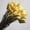 Origin, variant on 30PCS Natural Rabbit Tail Grass Dried Household Flower Decorations Festive Party Supplies