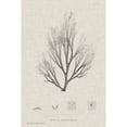 thumbnail image 2 of Marmont Hill "Linen Seaweed III" Painting Print on Wrapped Canvas, 2 of 5