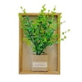 thumbnail image 2 of Sokhug Artificial Plants Wall Hanging Decor Monstera 3D Decorative Painting Rectangular Wooden Frame(Wooden Frame), 2 of 6
