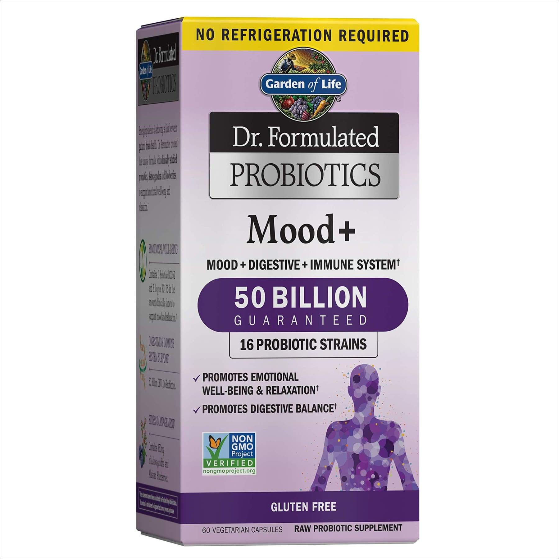 Garden of Life Dr. Formulated Probiotics Mood+ Acidophilus Probiotic