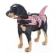 thumbnail image 1 of Chaleco de Flotación para Cachorros Cómodo Chaleco Salvavidas para Perros Arnés para Mascotas Colores Brillantes Chaleco Salvavidas para Perros con Cintura Ajustable Fácil de ANGGREK  Otros, 1 of 8