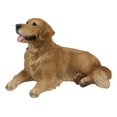 thumbnail image 3 of Large Lifelike Charlie The Chocolate Golden Retriever Panting Statue 23.25"Long, 3 of 4