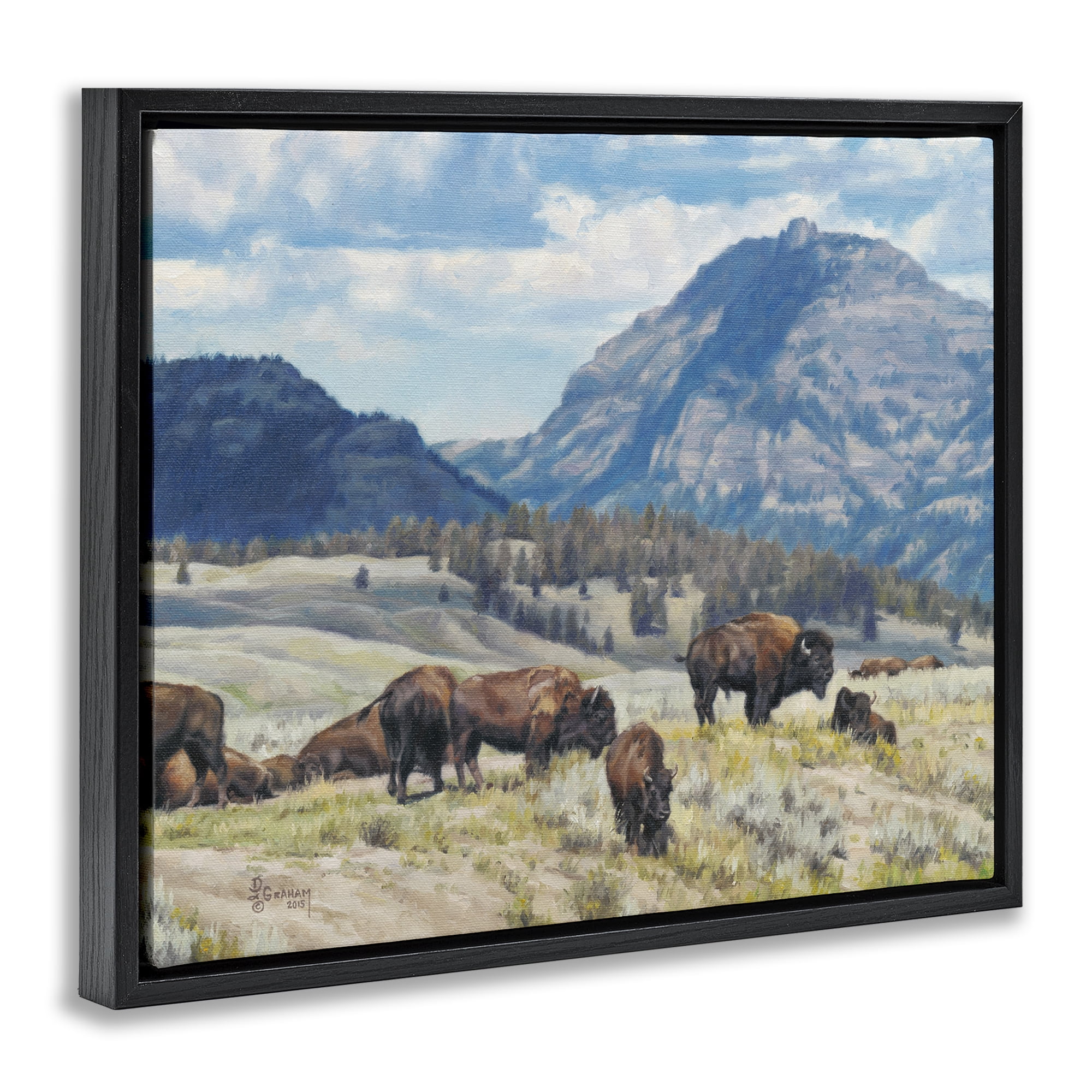 Stupell Industries Sunny Afternoon Bison Landscape Painting Black Floater Framed Canvas Art Print Wall Art, 21 x 17