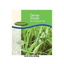 Barenbrug 83650 50 lbs. Dense Shade Grass Seed