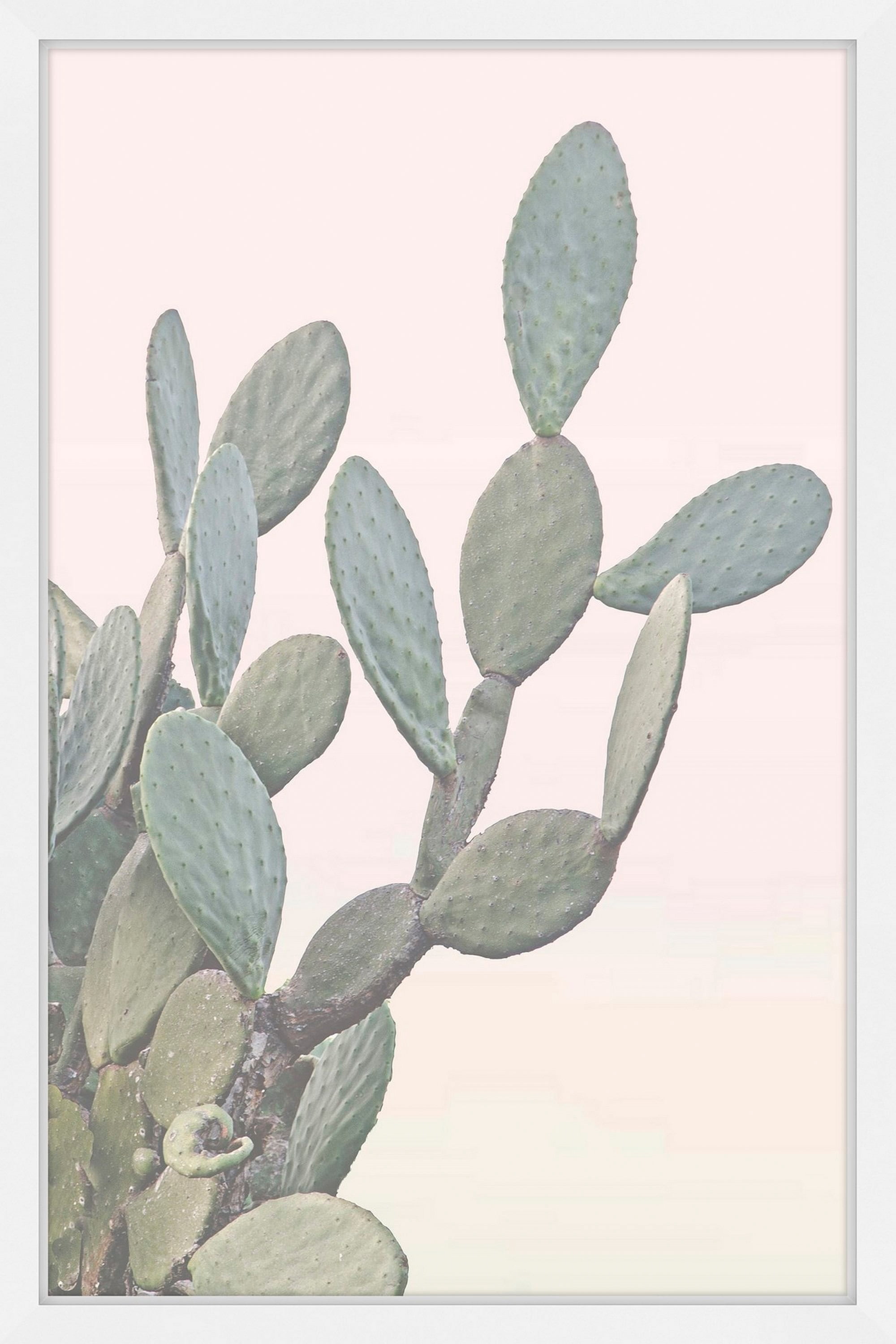 Flor del Desierto Framed Painting Print