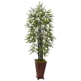 thumbnail image 1 of Nearly Natural 5806 5.5 ft. Black Bamboo Tree in Decorative Planter, 1 of 3