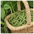 thumbnail image 4 of Everwilde Farms - 50 Organic Contender Green Bush Bean Seeds - Gold Vault Jumbo Bulk Seed Packet, 4 of 4
