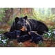 thumbnail image 1 of Diamante (DE4441) 5D DIY dibujo completo oso punto de cruz bordado Kit negro FLhrweasw Nuevo, 1 of 1