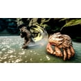 thumbnail image 5 of Skull Island: Rise of Kong, PlayStation 5, 5 of 9