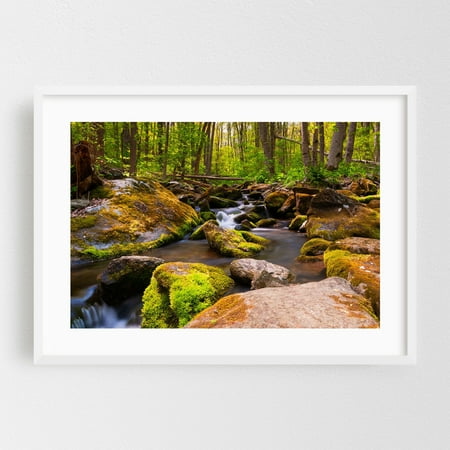 A Beautiful Stream in Shenandoah National Park, VA - Virginia Photography Forest Nature Landscape Woodland Scenic Wilderness Water White Framed Wall Art Print 20 x 30 inches