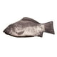 thumbnail image 3 of Sonducket Silver Carp Real Fish-Like Zipper Pen &amp; Make-Up Pouch Estuche para lápices Funny Rare Type3 NO3 Sonducket JJ2883-00, 3 of 6