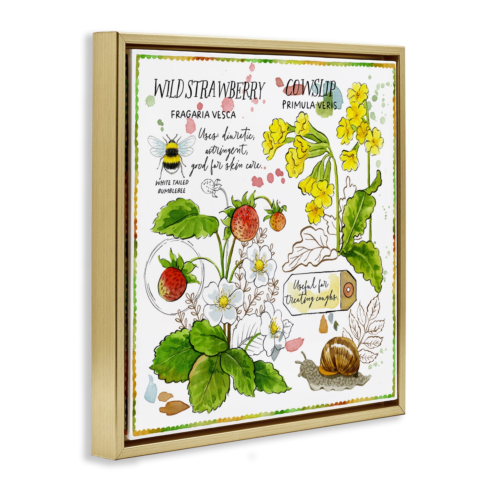 Stupell Industries Strawberry & Florals Uses Plants & Flowers Painting Gold Floater Framed Canvas Art Print Wall Art, 18 x 18