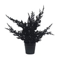 thumbnail image 2 of Decoración de planta en maceta de aguja de pino negro artificial de Halloween | Decoración de plástico realista para interiores | Centro de mesa de mesa | Fácil mantenimiento | 14.5in | 1 pieza, 2 of 8