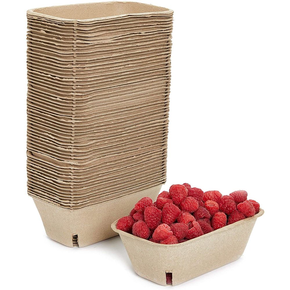 60Pack Moldered Pulp Fiber Berry Baskets for Fruit Vegetable (1 Pint
