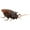 cockroach, variant on Electric Pet Hunting Toy With Auto Obstacle Detection Prank Toy For Indoor Boredom Dog Cats Entertainment Fun