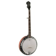 Washburn 5 String Remo Head Banjo w/ Case - Tobacco Sunburst - B16K-D-U