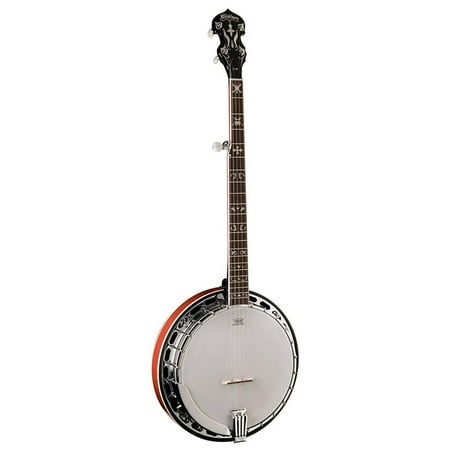 Washburn 5 String Remo Head Banjo w/ Case - Tobacco Sunburst - B16K-D-U