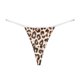 thumbnail image 1 of Lencería Mujeres Tanga Sexy Bragas sexy Leopardo Tanga T-back Mujeres Cinturón delgado ShuxiuWang 8390614266568, 1 of 1