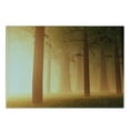 thumbnail image 3 of Forest Cutting Board, Foggy Mist Jungle with Sun Beams and Rays Woodland Nature Design, Decorative Tempered Glass Cutting and Serving Board, Small Size, Tan, by Ambesonne, 3 of 5