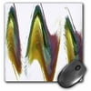 3dRose Fantasy Dance, Mouse Pad, 8 by 8 inches