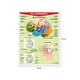 thumbnail image 2 of Póster El Cerebro Educatodo B-0025-I, 2 of 2